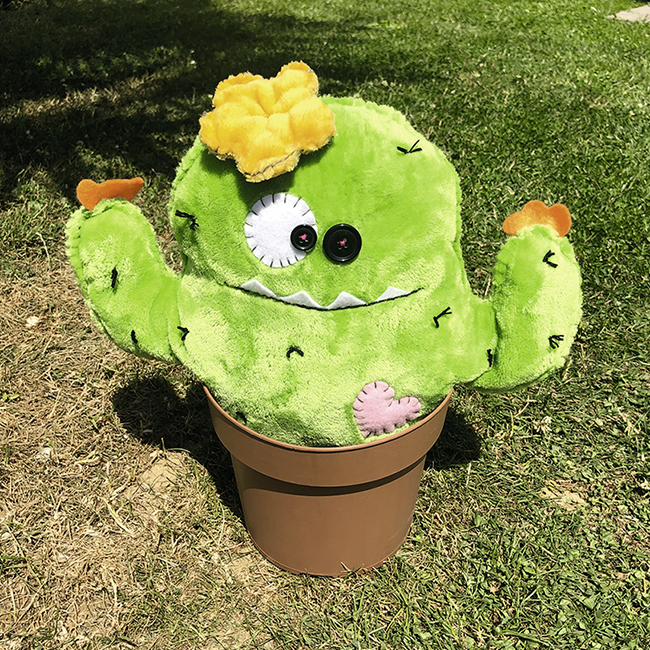 Artus le cactus