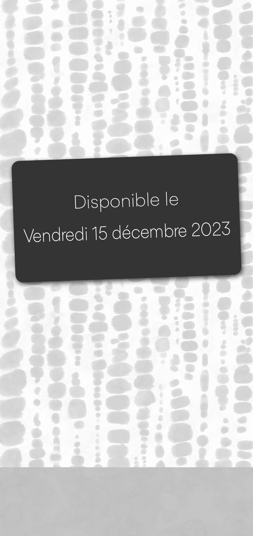 Fond d'écran Bouchut temp Ethnikraft 2