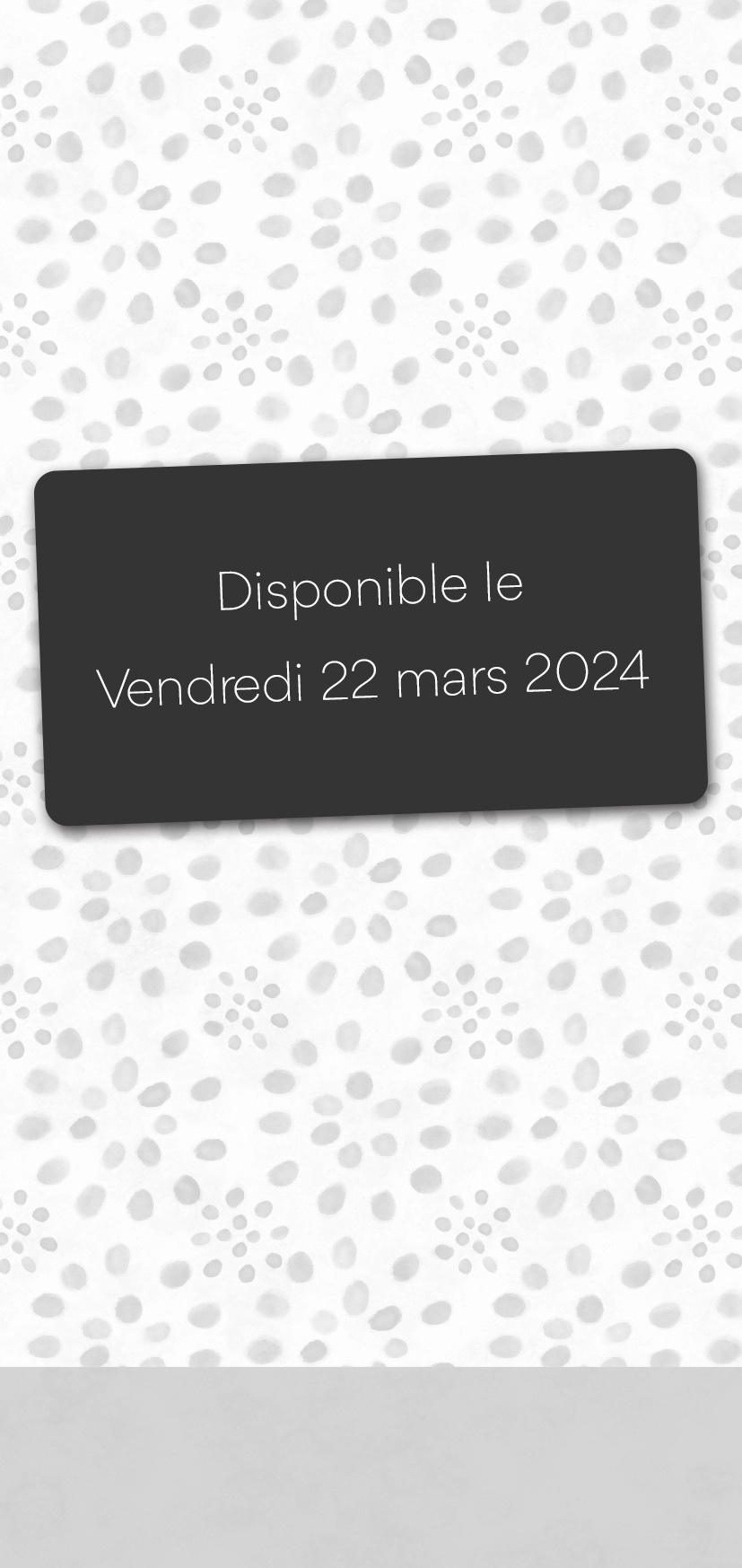 Fond d'écran Bouchut temp Ethnikraft 3