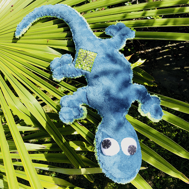Zarbi le gecko
